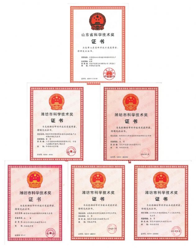 [good news] Longgang silicon Co., Ltd. won the first prize of Weifang Science and Technology Progress Award！