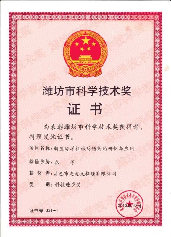 【喜訊】龍港硅業(yè)公司喜獲濰坊市科技進(jìn)步獎(jiǎng)一等獎(jiǎng)！