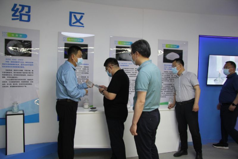 省海洋局領導到龍港硅業(yè)公司考察調研